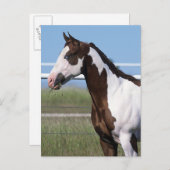 Carte Postale Cheval de peinture debout (Devant / Derrière)