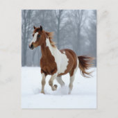 Carte Postale Cheval de peinture d'hiver unique (Devant)