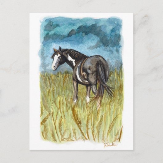 Carte Postale Cheval de peinture noir et blanc Art à l'aquarelle (Devant)