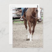 Carte Postale Cheval de peinture occidental (Devant / Derrière)