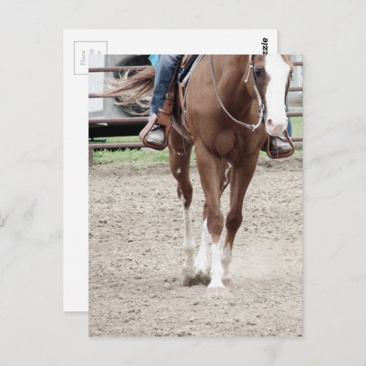 Carte Postale Cheval de peinture occidental (Devant / Derrière)