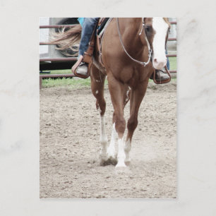 Carte Postale Cheval de peinture occidental