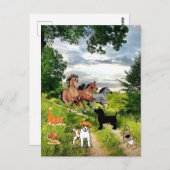 Carte postale Cheval de poulet Chat de chien (Devant / Derrière)