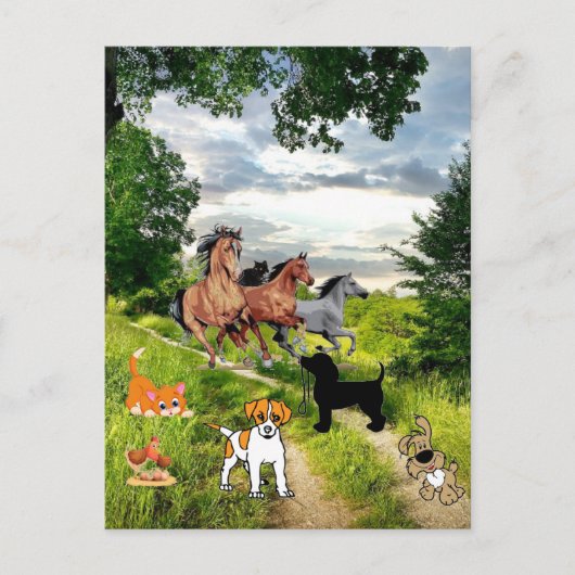 Carte postale Cheval de poulet Chat de chien (Devant)