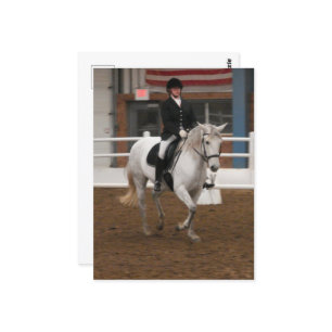 Carte Postale Cheval de pression gris