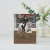 Carte Postale Cheval de pression gris (Debout devant)