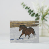 Carte Postale Cheval de pur sang fonctionnant dans la neige (Debout devant)