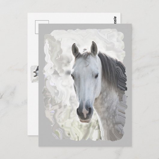 Carte Postale Cheval de rêve (Devant / Derrière)