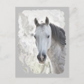 Carte Postale Cheval de rêve (Devant)