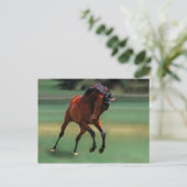 Carte Postale Cheval de rodéo pour cowboy (Debout devant)
