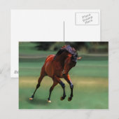 Carte Postale Cheval de rodéo pour cowboy (Devant / Derrière)