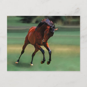 Carte Postale Cheval de rodéo pour cowboy