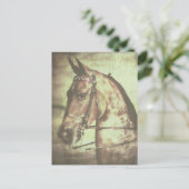 Carte Postale Cheval de Saddlebred (Debout devant)