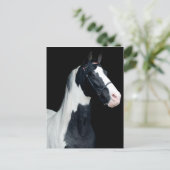Carte Postale Cheval de selle tacheté (Debout devant)