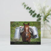 Carte Postale Cheval de travail (Debout devant)