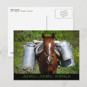 Carte Postale Cheval de travail (Devant / Derrière)