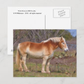 Carte Postale Cheval de travail à Hill Country (Devant / Derrière)