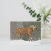 Carte Postale Cheval de vacances en neige (Debout devant)
