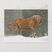 Carte Postale Cheval de vacances en neige (Devant)