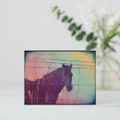 Carte Postale Cheval derrière la clôture (Debout devant)