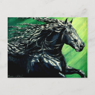 Carte Postale Cheval d'étalon noir friésien