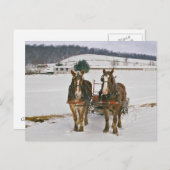 Carte postale Cheval d'hiver Amish (Devant / Derrière)