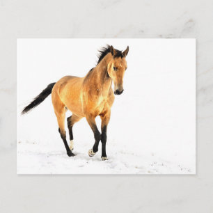 Carte Postale Cheval d'or dans la neige