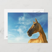 Carte Postale cheval d'or du Turkménistan (Devant / Derrière)