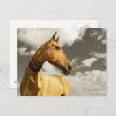 Carte Postale Cheval d'or du Turkménistan (Devant / Derrière)