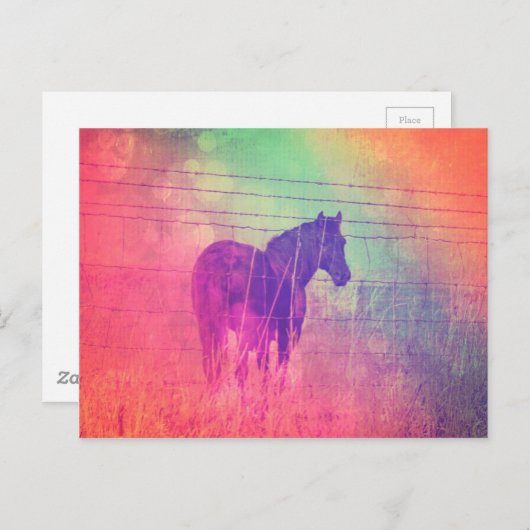 Carte Postale Cheval Dreams (Devant / Derrière)