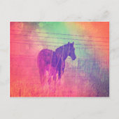 Carte Postale Cheval Dreams (Devant)