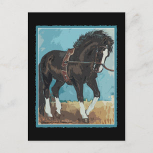 Carte Postale Cheval Dressage Travailler sur Lunge Line Equine A