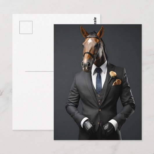 Carte Postale Cheval drôle dans le costume (Devant / Derrière)