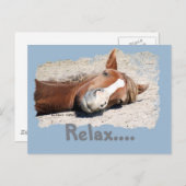 Carte Postale Cheval drôle : Relax (Devant / Derrière)