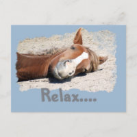 Cheval drôle : Relax