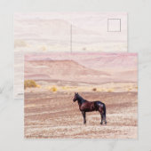 Carte Postale Cheval du désert P8664 (Devant / Derrière)