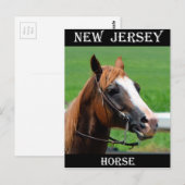 Carte Postale Cheval du New Jersey (Devant / Derrière)