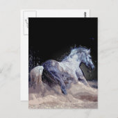 Carte Postale Cheval en action (Devant / Derrière)