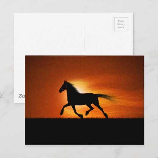 Carte Postale Cheval en course (Devant / Derrière)
