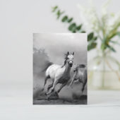 Carte Postale Cheval en course (Debout devant)