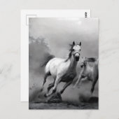 Carte Postale Cheval en course (Devant / Derrière)