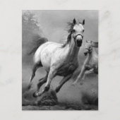 Carte Postale Cheval en course (Devant)