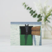 Carte Postale Cheval en écurie avec porte française (Debout devant)