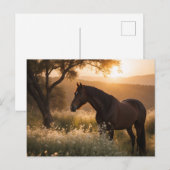 Carte Postale Cheval en paysage (Devant / Derrière)