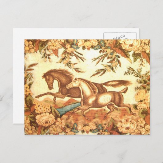 Carte postale Cheval équestre 2 (Devant / Derrière)