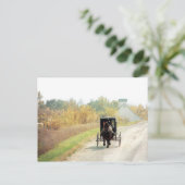 Carte Postale Cheval et boguet amish d'automne (Debout devant)