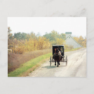 Carte Postale Cheval et boguet amish d'automne
