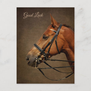 Carte postale Cheval Et Bridle Bonne Chuck