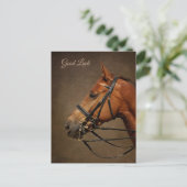 Carte postale Cheval Et Bridle Bonne Chuck (Debout devant)