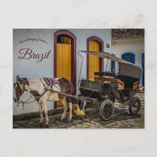 Carte Postale Cheval et buggy au Brésil (Devant)